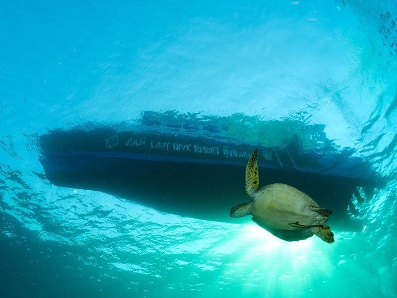 Raja Laut Dive Resort Бунакен Екстериор снимка